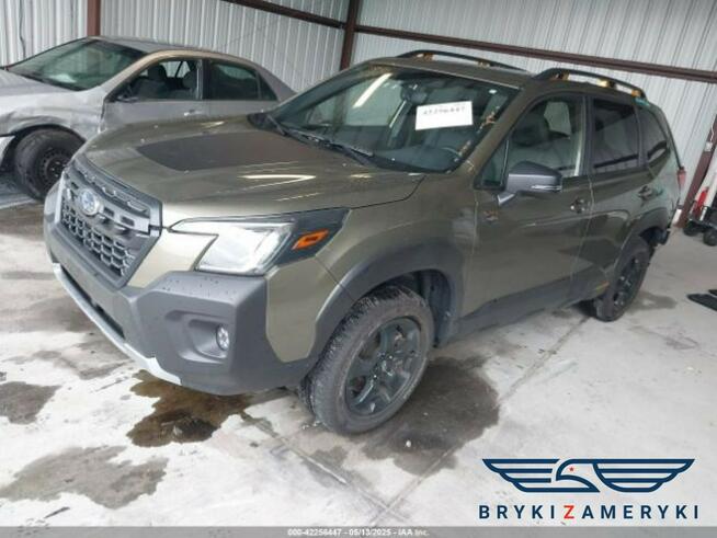 Subaru Forester Wilderness