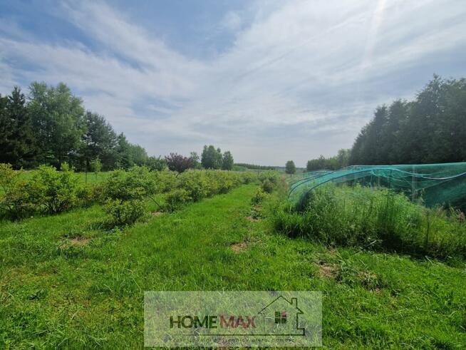 Działka budowlana Grzymalin gm. Miłkowice