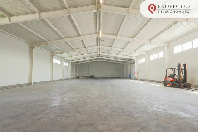 Lokal użytkowy Gdańsk, Elbląska