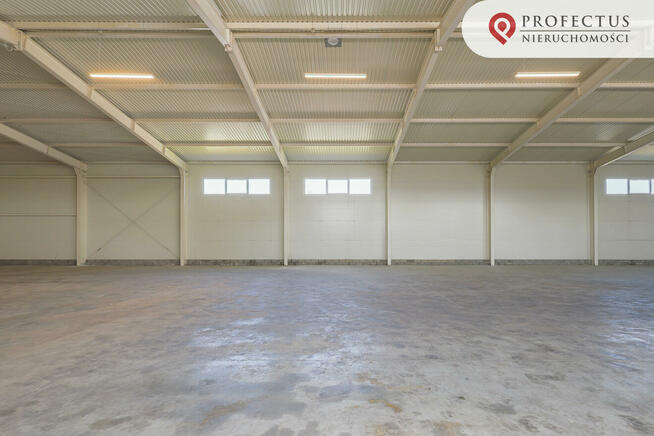 Lokal użytkowy Gdańsk, Elbląska