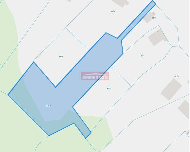 Olszowice, z widokiem na las