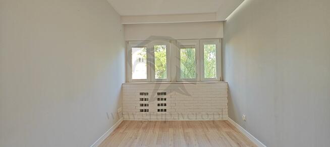 Żabciu, Babcia prawdę Ci powie