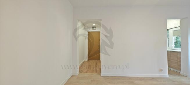 Żabciu, Babcia prawdę Ci powie