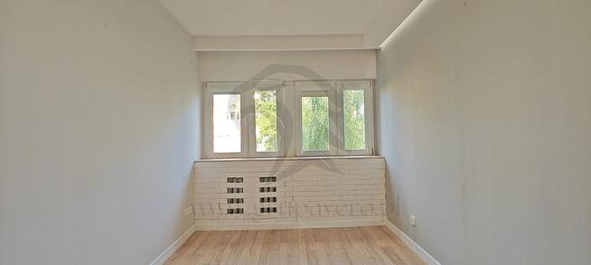 Żabciu, Babcia prawdę Ci powie