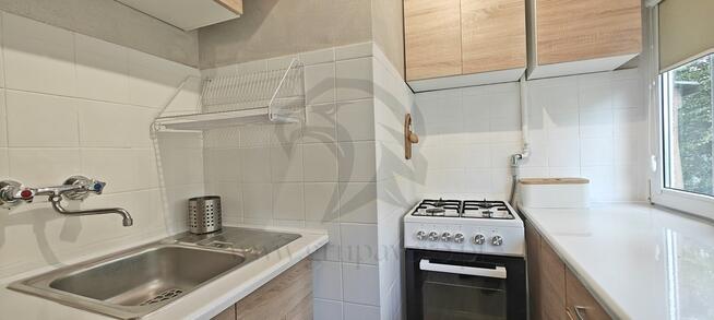 Żabciu, Babcia prawdę Ci powie