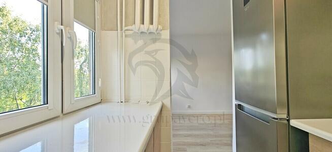 Żabciu, Babcia prawdę Ci powie