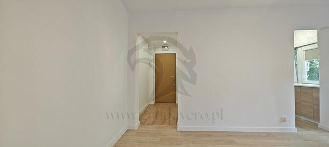 Żabciu, Babcia prawdę Ci powie