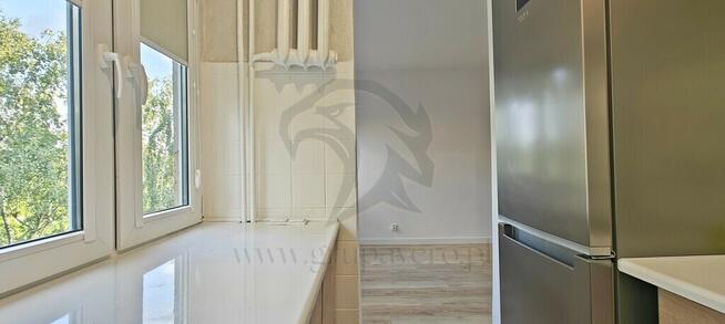 Żabciu, Babcia prawdę Ci powie