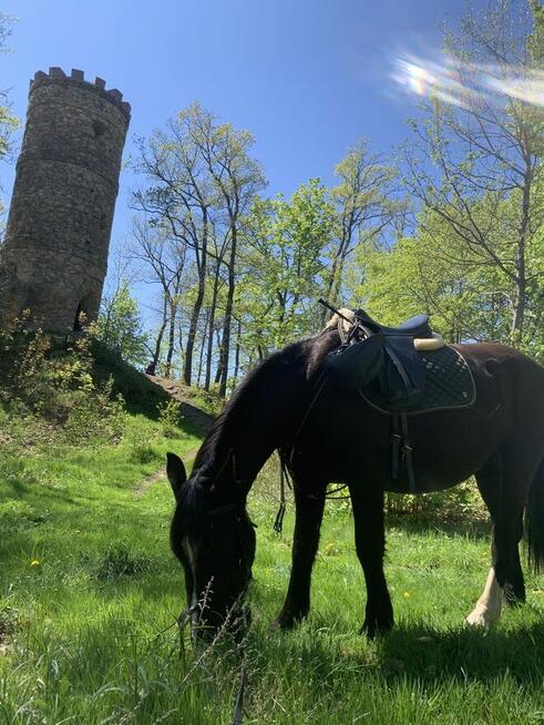 Jazdy konne wyjazdy w teren