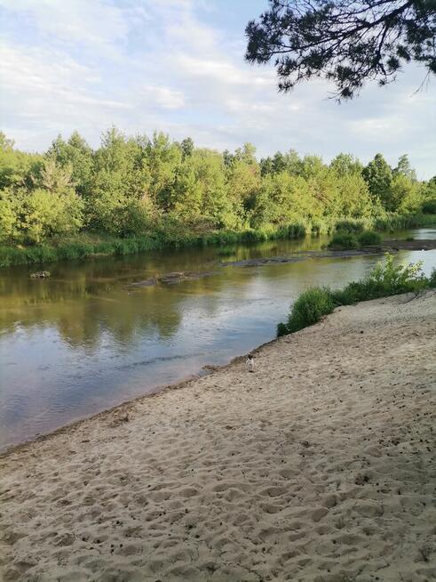 Działka ROD Kamieńczyk 500 m2