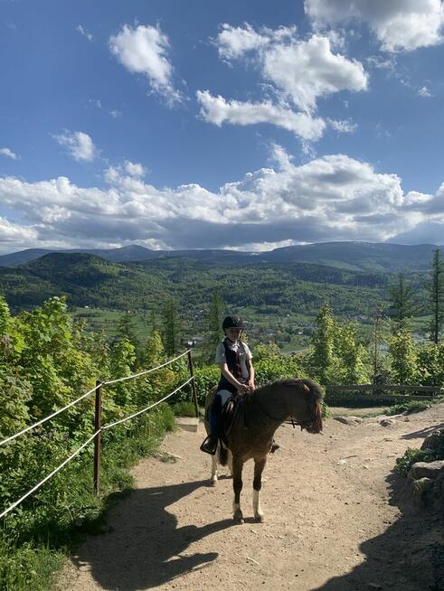 Jazdy konne wyjazdy w teren