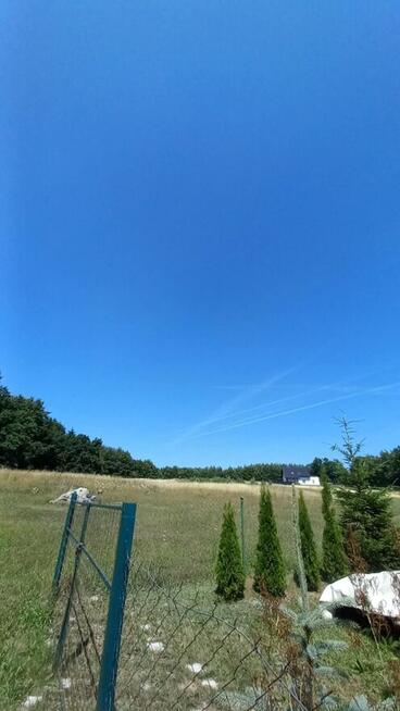 Dom mieszkalny jednorodzinny, śiedlisko rolne