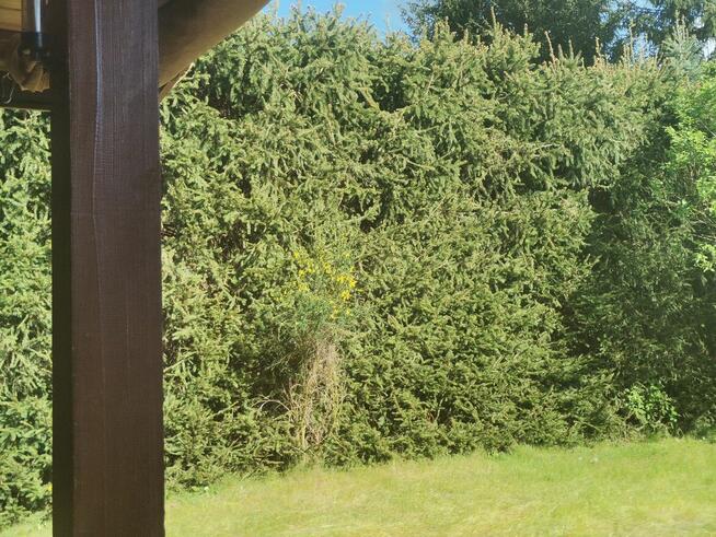 Działka ROD Kamieńczyk 500 m2