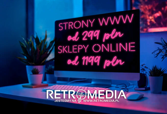 Strony www od 299 zł, sklepy online od 1199 zł, realizacja 3