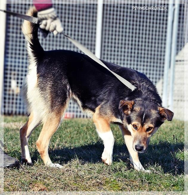 Klara – Twoja kandydatka na członka rodziny - pokochaj