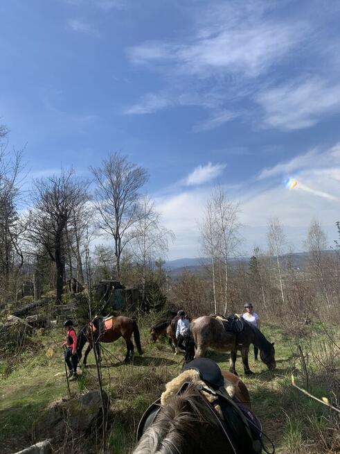 Jazdy konne wyjazdy w teren