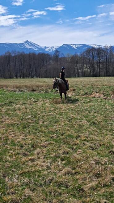 Jazdy konne wyjazdy w teren