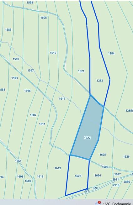Las w Lipnicy Dolnej - 6 hektarów