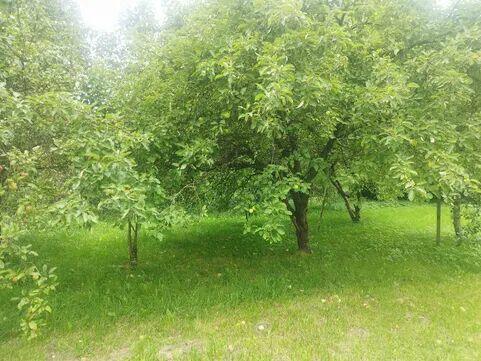 Cena = 2. 012.000 zł. zaCałą działkę 53ary, to realnaCena!!