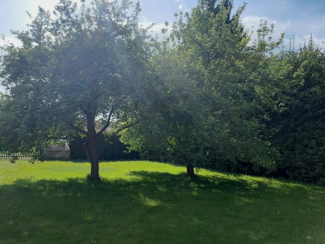 Duży dom do sprzedania + duża działka