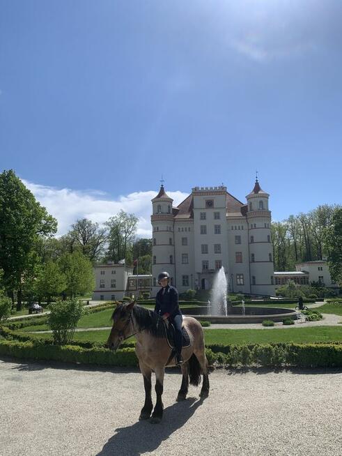 Jazdy konne wyjazdy w teren