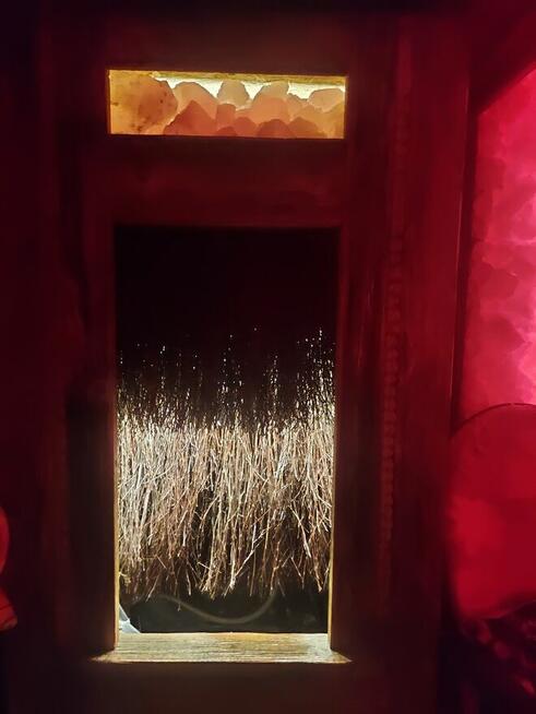 Komnata solna w kontenerze 7x3m