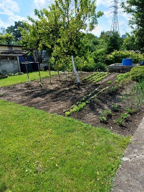 Ogródek działkowy ROD ,,Nowy Kanał