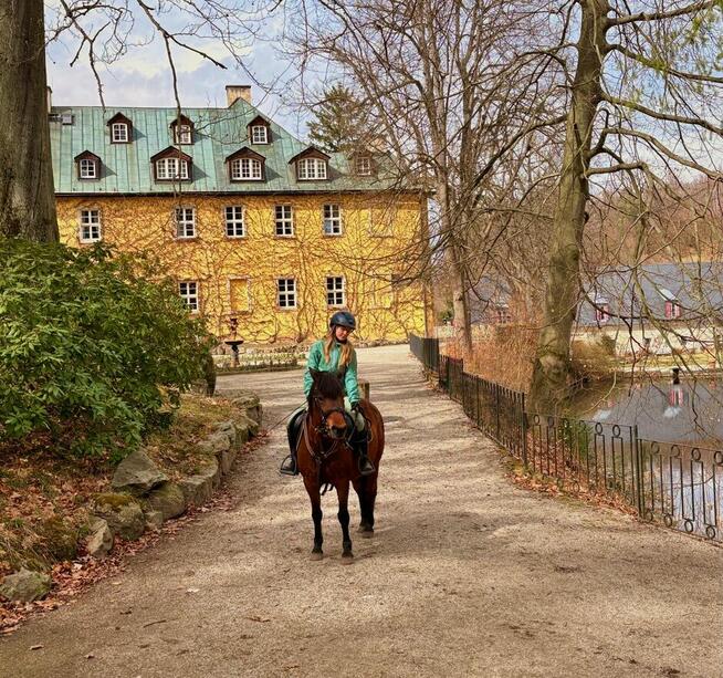 Jazdy konne wyjazdy w teren