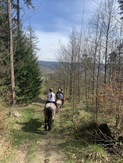 Jazdy konne wyjazdy w teren