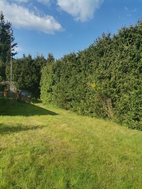 Działka ROD Kamieńczyk 500 m2