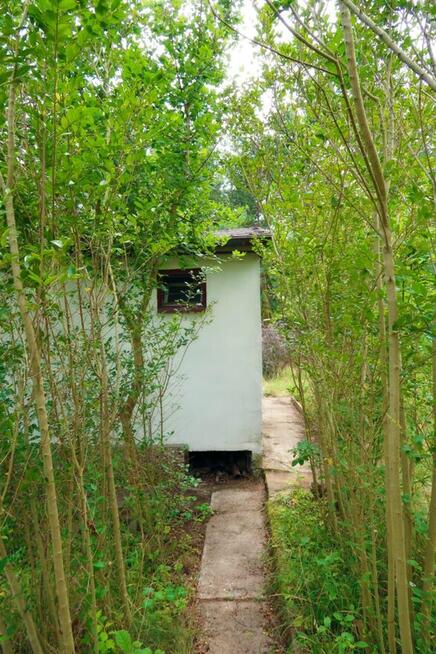 Dwie działki ROD przy lesie.