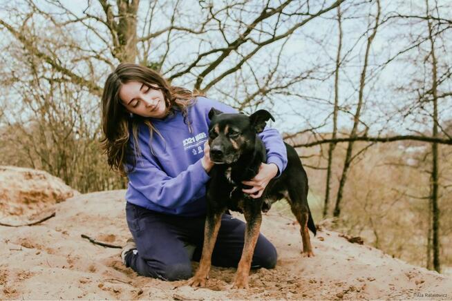 Mateo- aktywny pies szuka aktywnej rodziny-adopcja