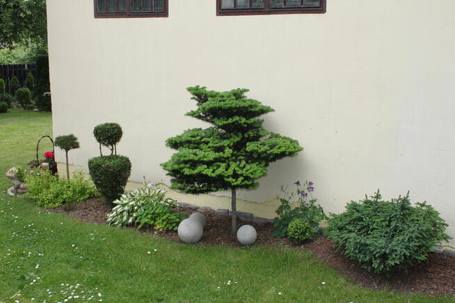 Cena = 2. 012.000 zł. zaCałą działkę 53ary, to realnaCena!!