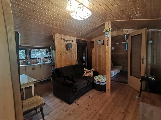 Działka ROD Kamieńczyk 500 m2