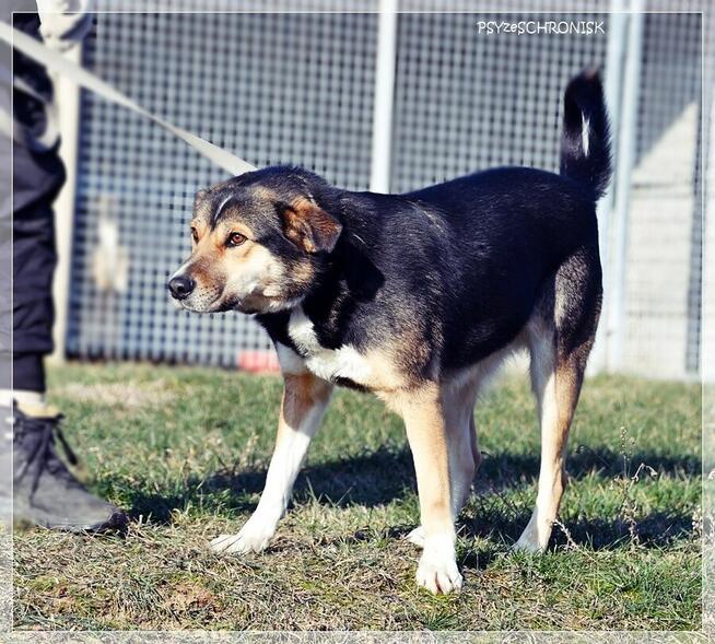 Klara – Twoja kandydatka na członka rodziny - pokochaj