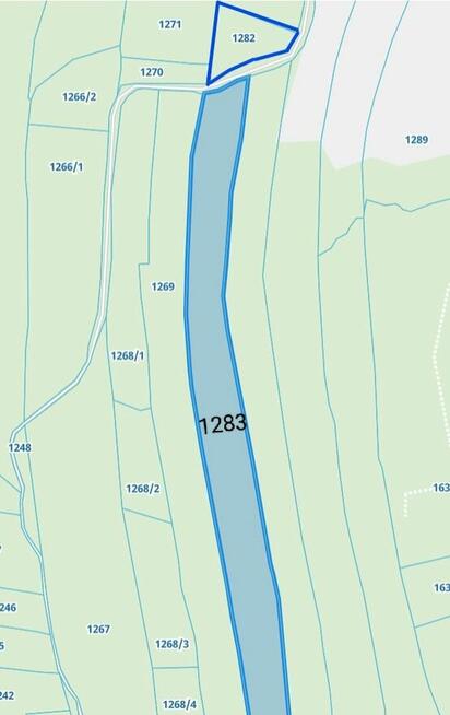 Las w Lipnicy Dolnej - 6 hektarów