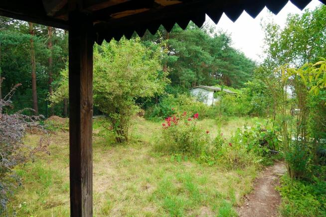 Dwie działki ROD przy lesie.