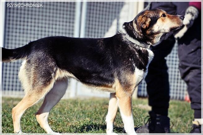 Klara – Twoja kandydatka na członka rodziny - pokochaj