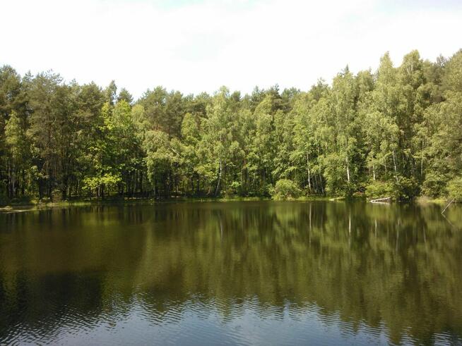 Działka rolno-budowlana 6300m w cichej i zielonej okolicy