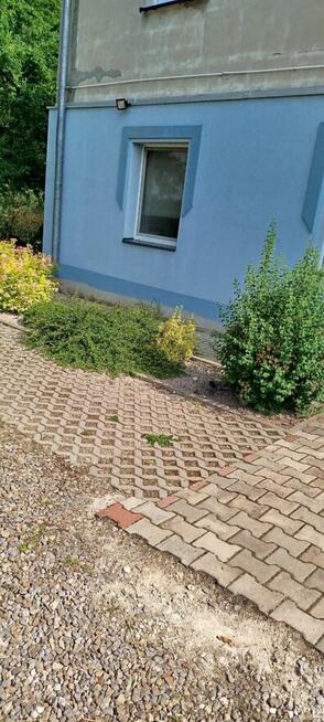 Mieszkanie bez czynszowe