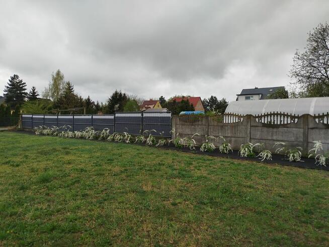 Działka budowlana Grzędzice – uzbrojona, gotowa do budowy