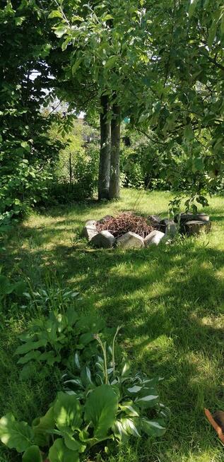 Działka ROD Jarzębina Altana murowana dwukondygnacyjna, wędz