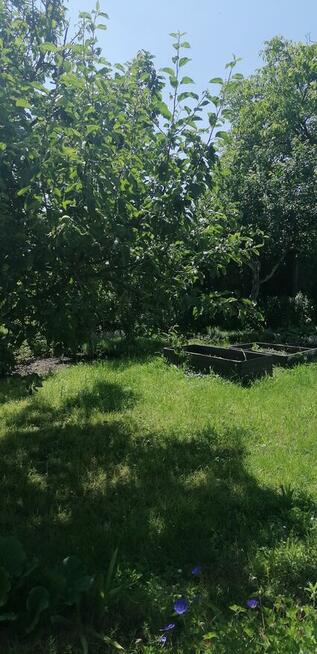 Działka ROD Jarzębina Altana murowana dwukondygnacyjna, wędz