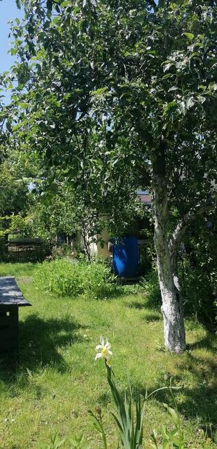 Działka ROD Jarzębina Altana murowana dwukondygnacyjna, wędz