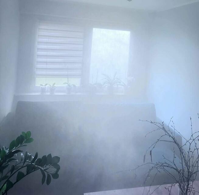 Zwalczanie Insektów