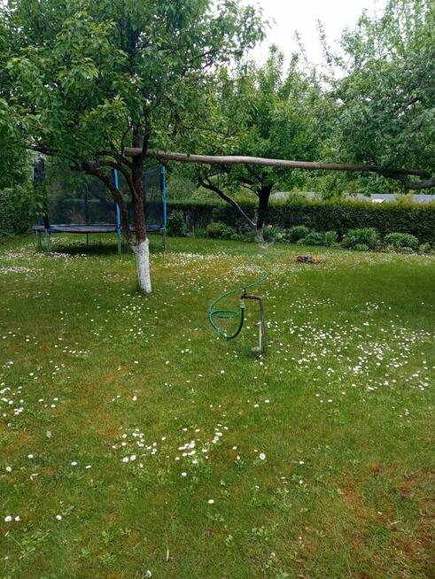 Działka rekreacyjna