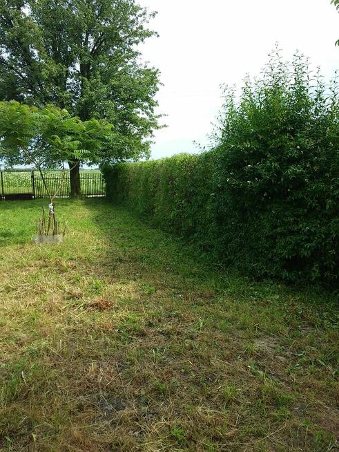 Działka rolno-budowlana 6300m w cichej i zielonej okolicy