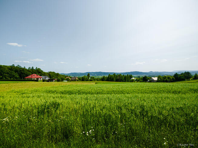 Na sprzedaż: działka 79 arów- Domosławice