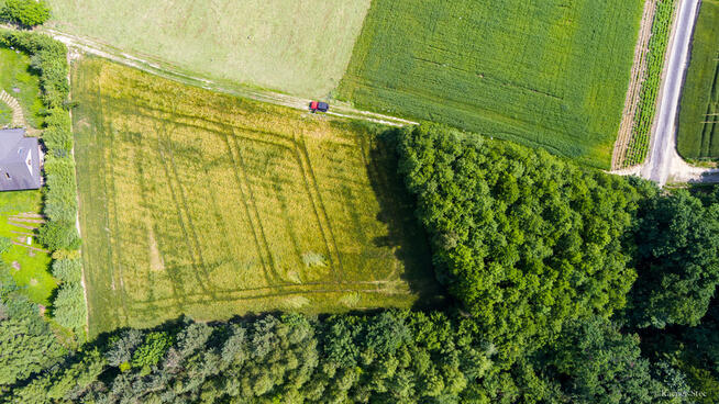 Na sprzedaż: działka 79 arów- Domosławice