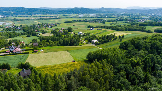 Na sprzedaż: działka 79 arów- Domosławice